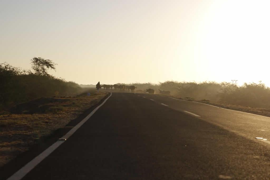 Rann Visamo Resort Bherandiāla Esterno foto